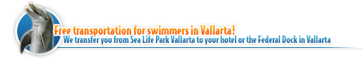 Vallarta deal free taxi transportation