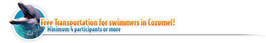 Cozumel Transportation deal