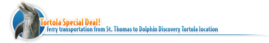 Tortola Transportation deal