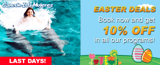 Book now and get 10% off in all our programs