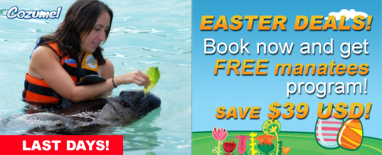 This Easter get a Free manatee program at Cozumel!