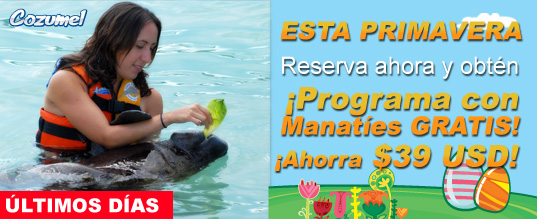 �Esta primavera Cozumel te regala un programa con manat�es!