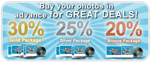 Discounts Package Photos and Videos.