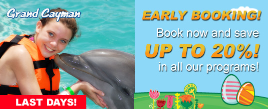 Swim with dolphins and save up to 20%!