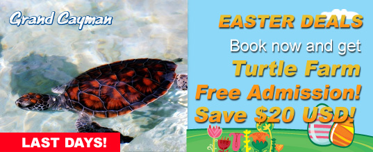 This Easter Turtle Farm Free admission in all Grand Cayman programs