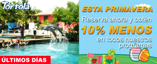 Reserva ahora y obt�n 10% de descuento en todos nuestros programas