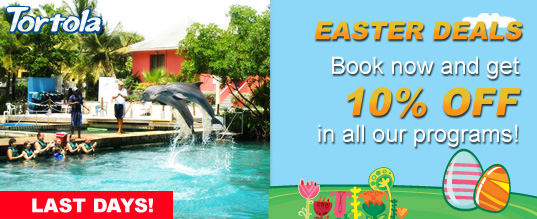 Book now and get 10% off in all our programs
