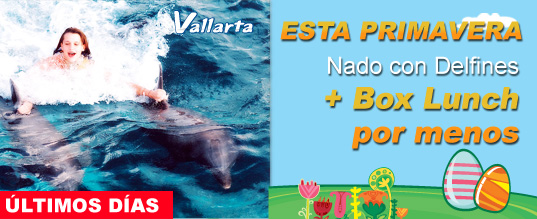 �Nada con delfines + Alimentos al mejor precio!