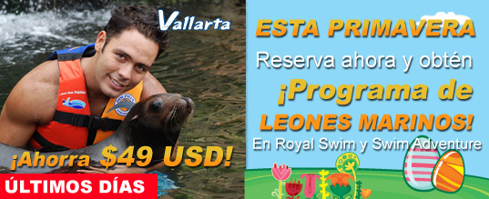 Nado con delfines + Programa con Lobos Marinos.