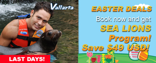 Swim with dolphins plus Free Sea lions program.