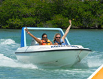 Gallery Jungle Tour Express
