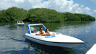 Jungle Tour Express