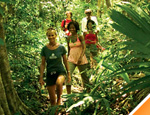 Gallery Jungle Crossing Nohoch
