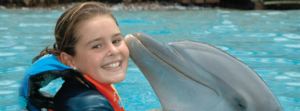 Cancun-Dolphin Encounter 