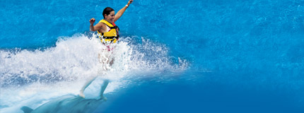 Cancun-Dolphin Royal Swim