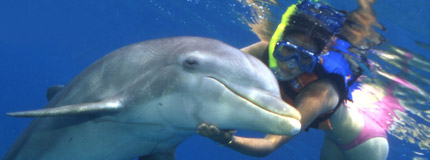 Cancun-Dolphin Swim Adventure