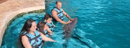 Cancun-Dolphin Royal Swim