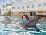 Gallery Dolphin Royal Swim