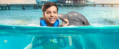 Isla Mujeres-Dolphin Swim Adventure