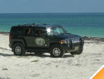 Gallery Hummer Jungle Tours