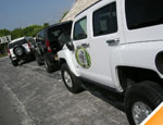 Gallery Hummer Jungle Tours