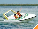 Gallery Jungle Tour