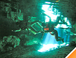 Gallery Mini-Rhino Snorkel Adventure