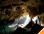 Gallery Mini-Rhino Snorkel Adventure