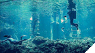 Mini-Rhino Snorkel Adventure