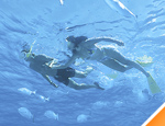 Gallery Tulum/Xel-H� All Inclusive