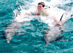 Columbus Lobster Dinner Cruise + Royal Garrafon + Dolphin Royal Swim
