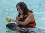 Columbus Lobster Dinner Cruise + Sea Life Discovery Plus