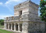 Dolphin Encounter + Tulum Express