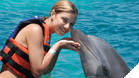 Dolphin Encounter