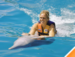 Gallery Dolphin Swim Adventure 
