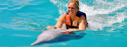 Costa Maya-Dolphin Swim Adventure 