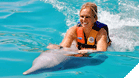 Dolphin Swim Adventure 