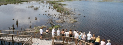Cozumel-Cozumel by Jeep and Snorkel Tour