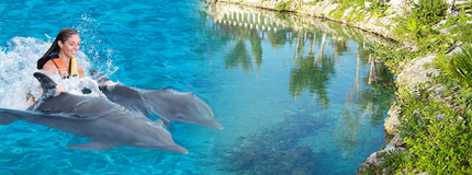 Cozumel-Dolphin Royal Swim + Parks + Round trip