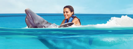Cozumel-Dolphin Swim Adventure