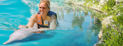 Cozumel-Dolphin Swim Adventure + Parks + Round trip