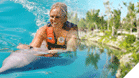 Dolphin Swim Adventure + Parks + Round trip