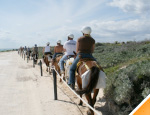 Gallery Horseback Ride and Beach time at Punta Sur