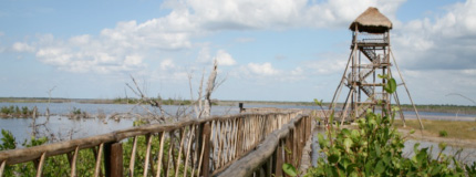 Cozumel-Horseback Ride and Beach time at Punta Sur