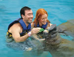 Gallery Manatee Encounter