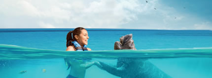 Cozumel-Manatee Encounter