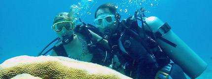 Cozumel-Discover Scuba & Open Bar Combo