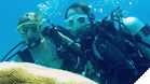 Discover Scuba & Open Bar Combo