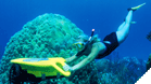 Radio Power Snorkel
