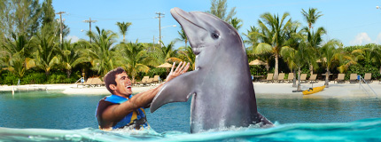 Grand Cayman-Dolphin Royal Swim